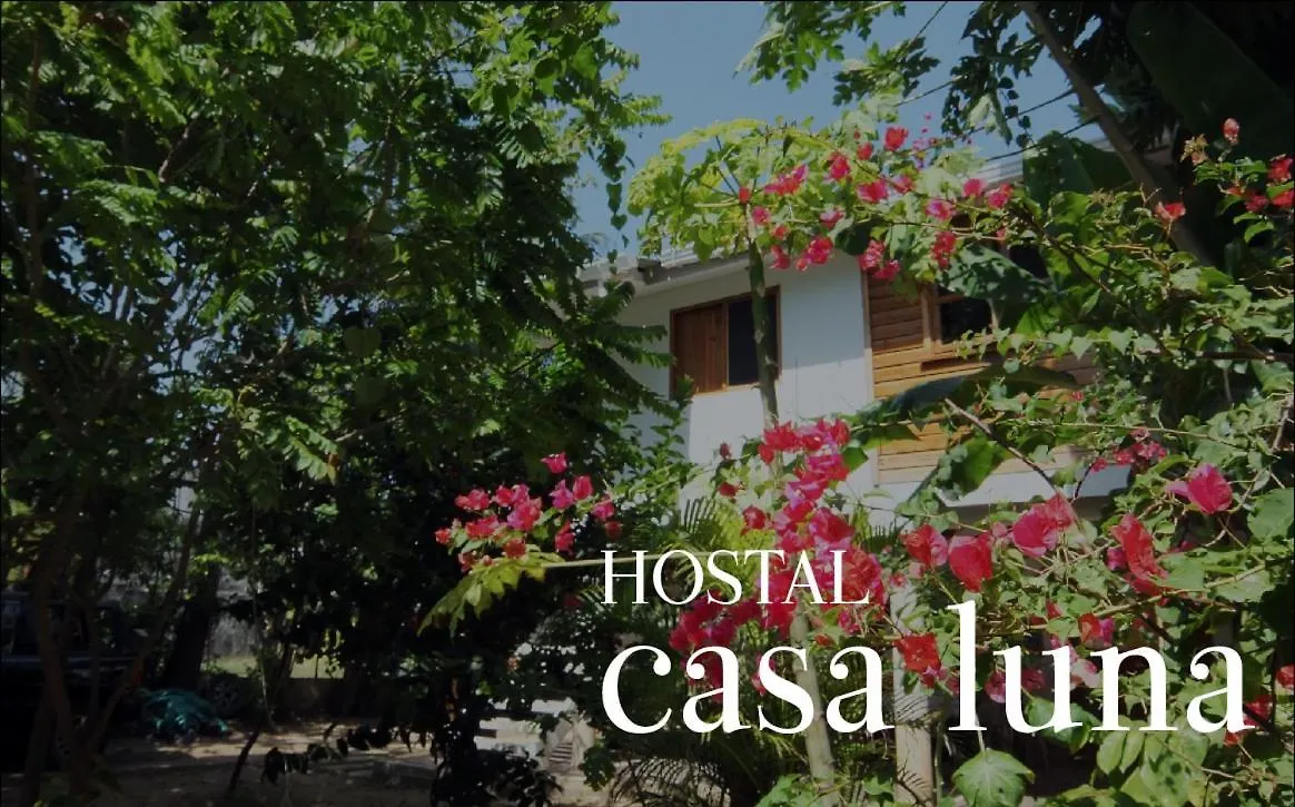 Hostal Casaluna San Andres 0*, San Andrés Kolumbia